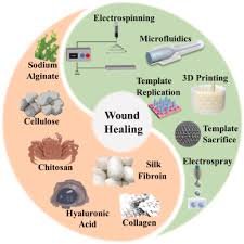 Dermal Regeneration Dressing